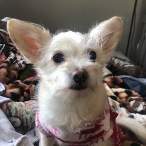 Meet your Posher, Karla